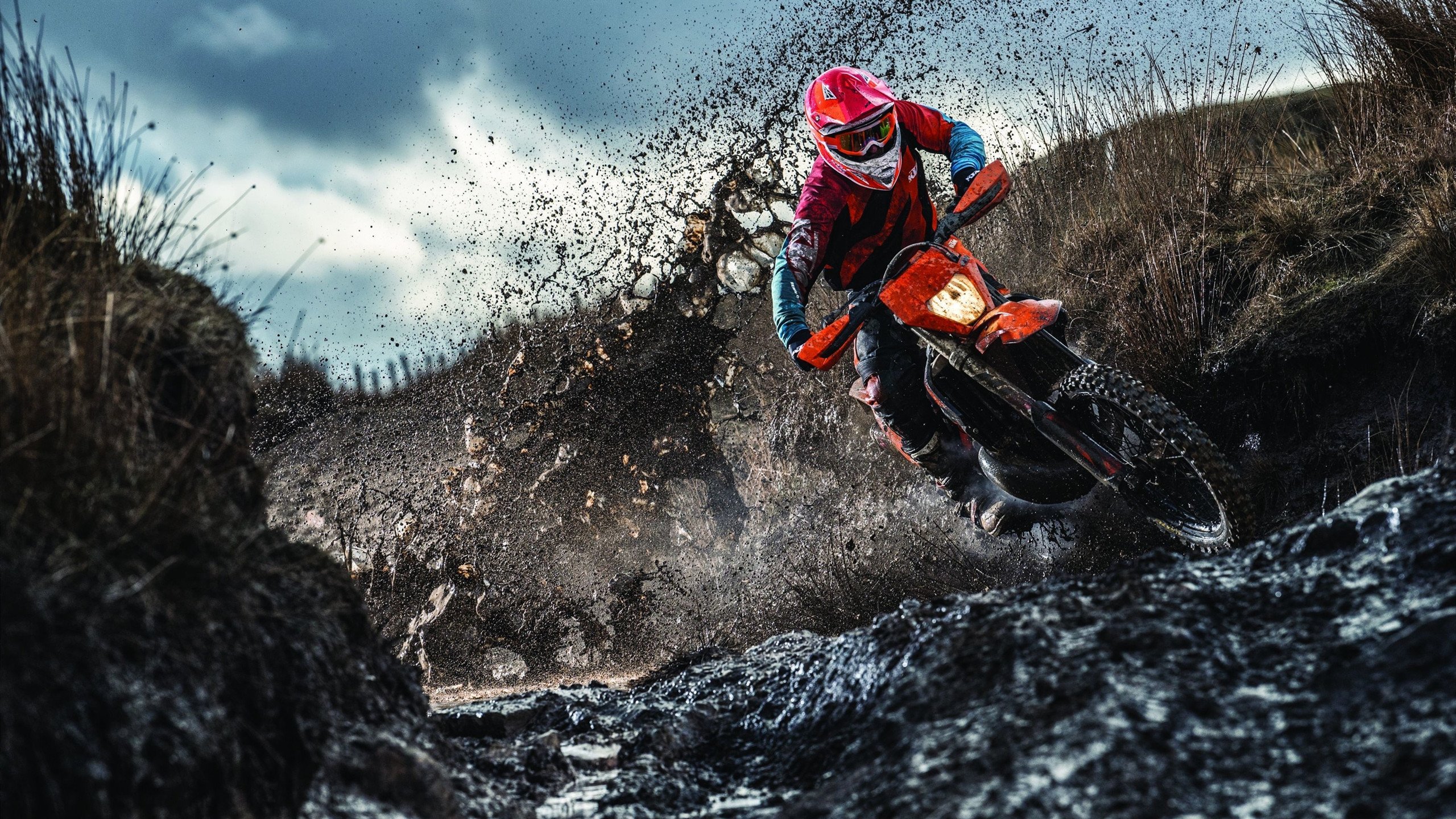 哥伦比亚队在巴黎奥运会比赛中展现出快速反击战术，奥运会哥伦比亚代表团